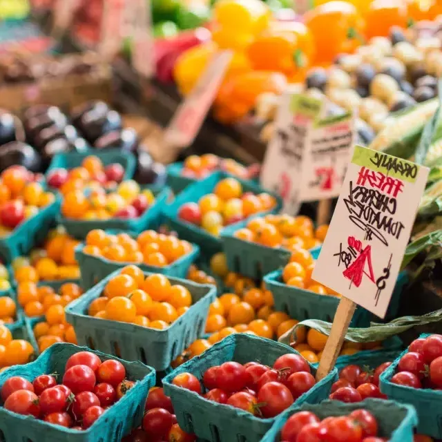 Os agricultores comercializam tomates